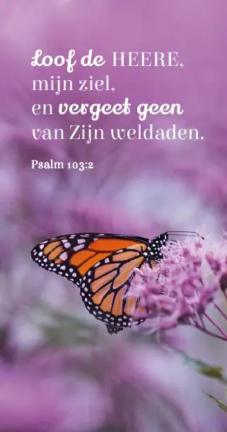 Magneetboekenlegger Loof de Heere