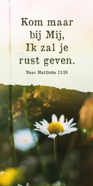 Magneetboekenlegger Kom maar bij Mij