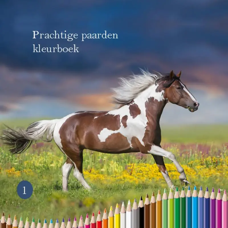 Prachtige paarden kleurboek 1