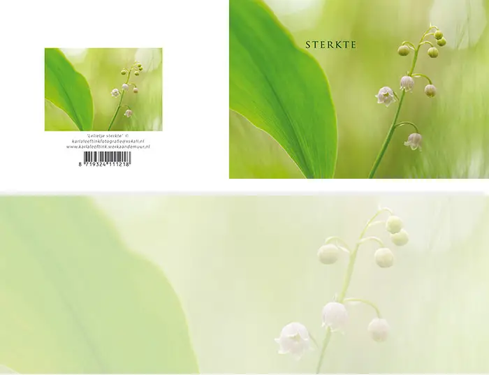 Panoramawenskaart sterkte zt lelietje