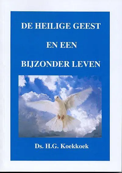 Heilige Geest en een bijzonder leven