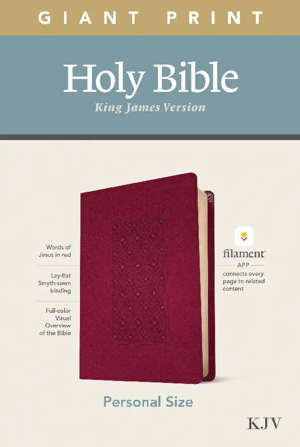 KJV - Giant print bible - personal ed.