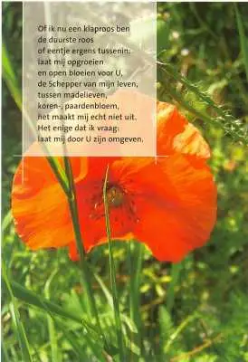 Hanger hartje Geliefd