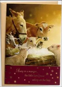 Boxed Christmas Card (18) Away Manger