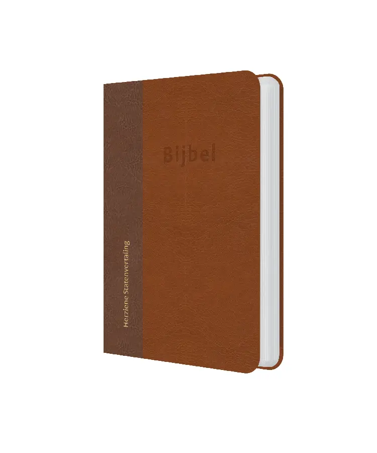 HSV kunstleer bruin medium