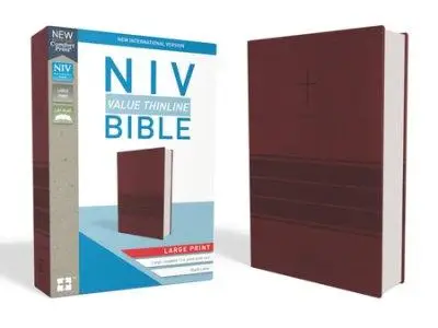 NIV value LP thinline bible burgundy im*