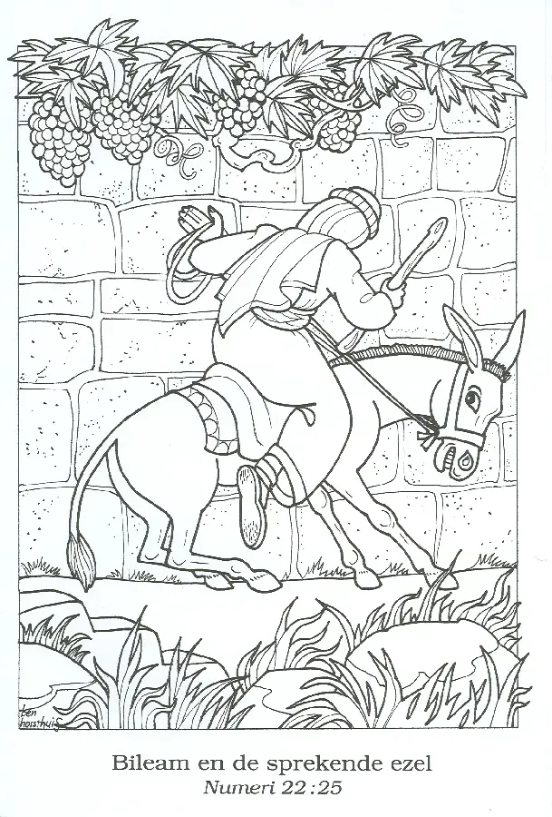 Marriage talk - doosje