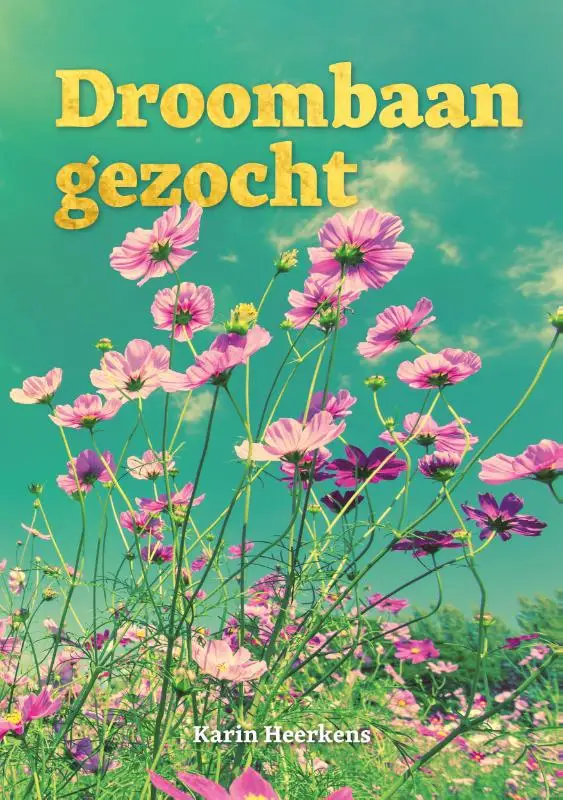 Droombaan gezocht